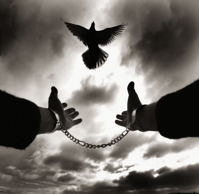 Freedom_by_HNDE.jpg, 71 KB