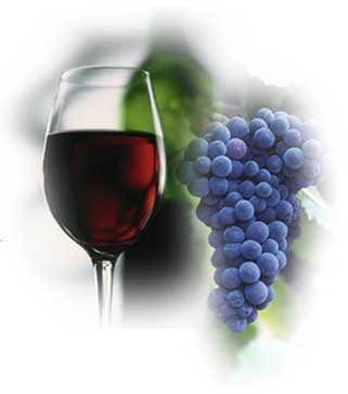 grapes_and_redwine.2007.jpg, 13 KB